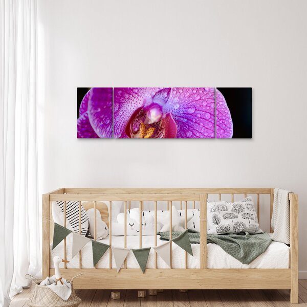 Zbliżenie kwiatu orchidei (170x50 cm)