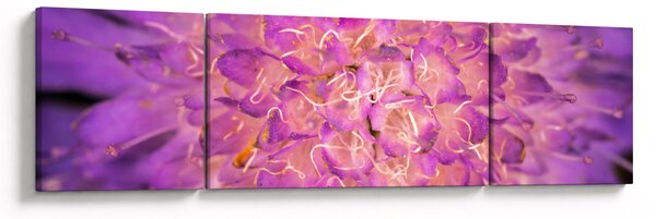 Szczegółowy obraz kwiatu (170x50 cm)