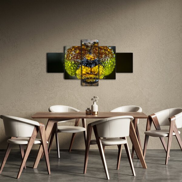 Szczegółowy obraz oczu owadów (125x70 cm)
