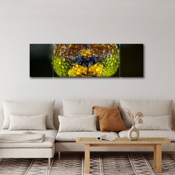 Szczegółowy obraz oczu owadów (170x50 cm)