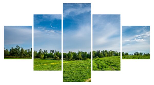 Obraz łąki (125x70 cm)