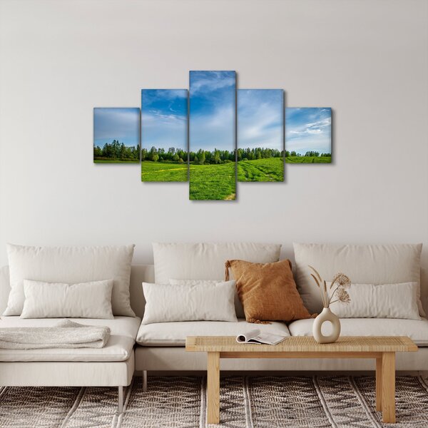 Obraz łąki (125x70 cm)