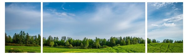 Obraz łąki (170x50 cm)