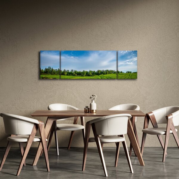 Obraz łąki (170x50 cm)
