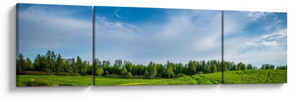 Obraz łąki (170x50 cm)