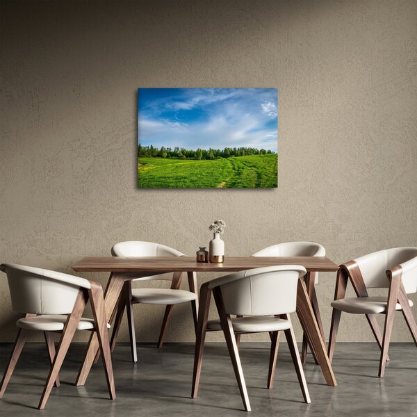 Obraz łąki (70x50 cm)