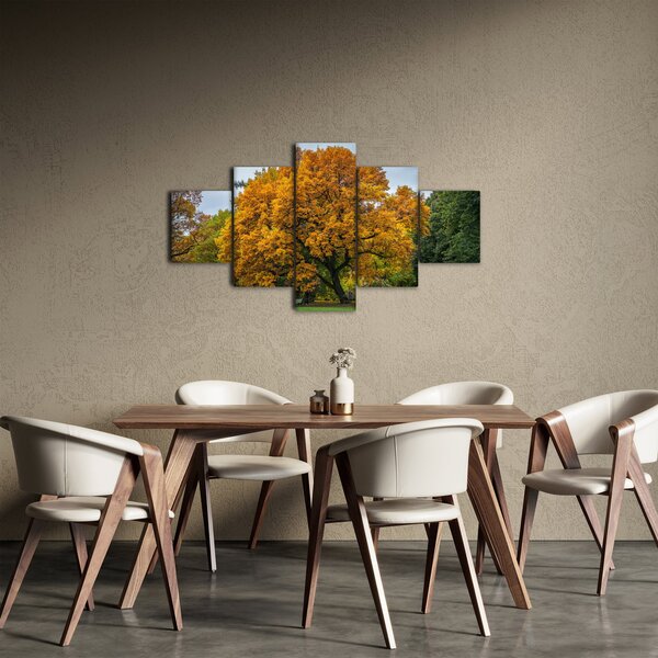 Obraz drzewa (125x70 cm)