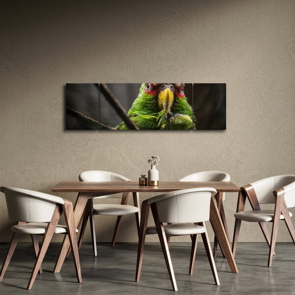 Obraz papugi (170x50 cm)