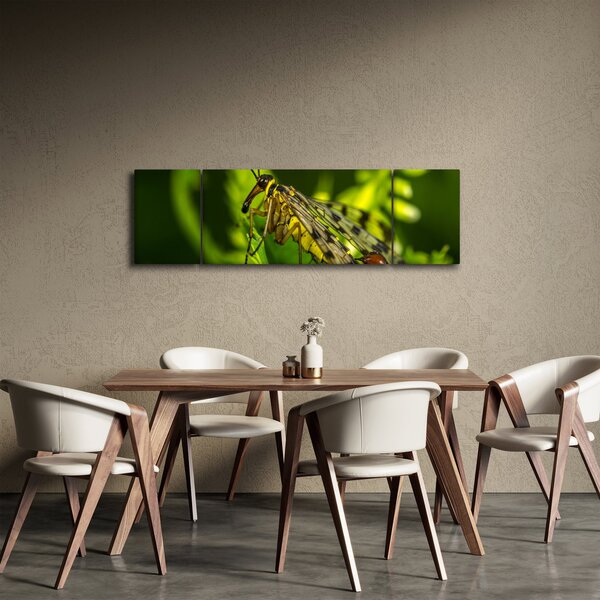 Obraz owada (170x50 cm)