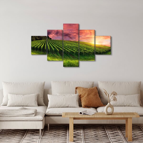 Obraz winnicy z kolorowym niebem (125x70 cm)
