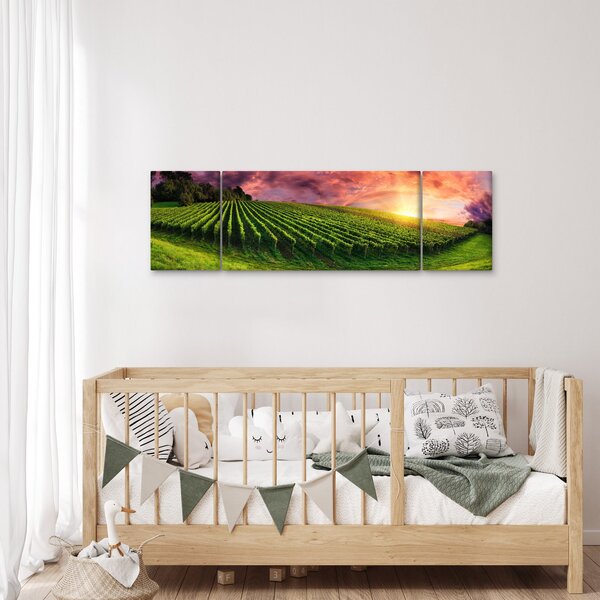 Obraz winnicy z kolorowym niebem (170x50 cm)