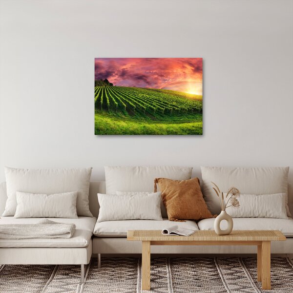 Obraz winnicy z kolorowym niebem (70x50 cm)