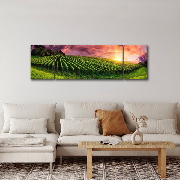 Obraz winnicy z kolorowym niebem (170x50 cm)