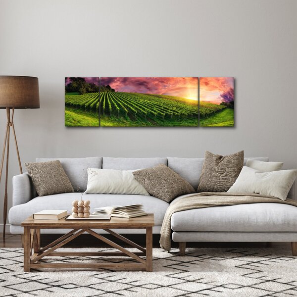 Obraz winnicy z kolorowym niebem (170x50 cm)