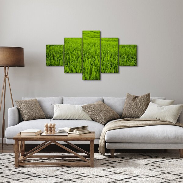 Obraz trawy (125x70 cm)