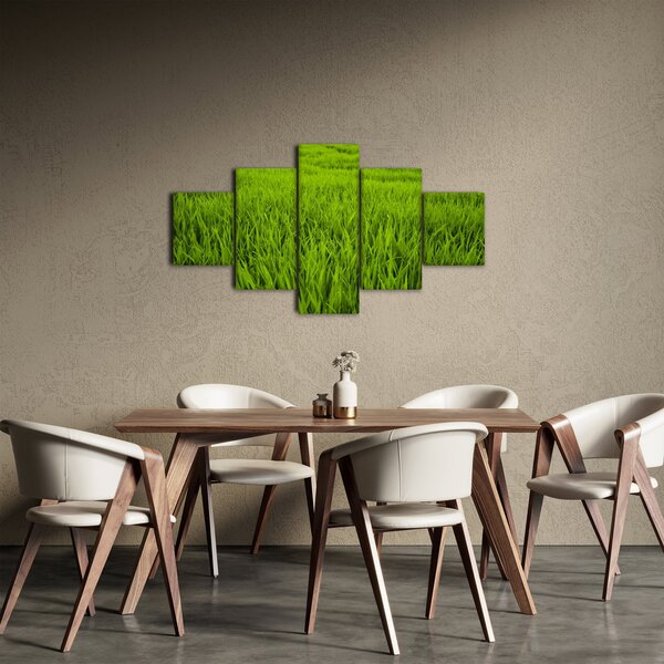 Obraz trawy (125x70 cm)