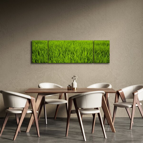 Obraz trawy (170x50 cm)