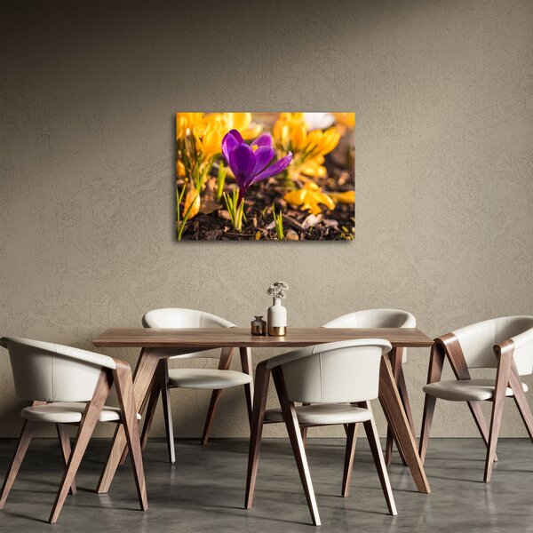 Obraz fioletowego kwiatu (70x50 cm)