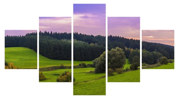Obraz łąki (125x70 cm)