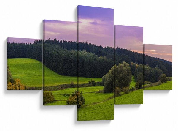 Obraz łąki (125x70 cm)
