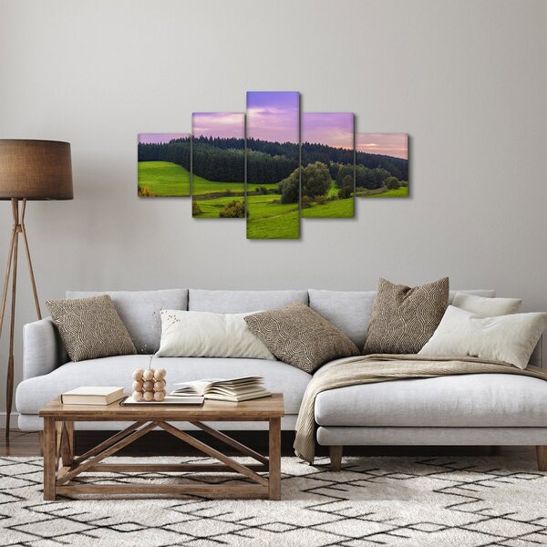Obraz łąki (125x70 cm)
