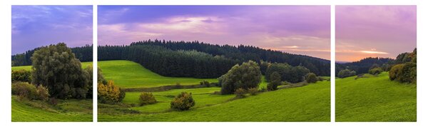 Obraz łąki (170x50 cm)