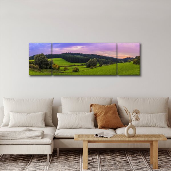 Obraz łąki (170x50 cm)