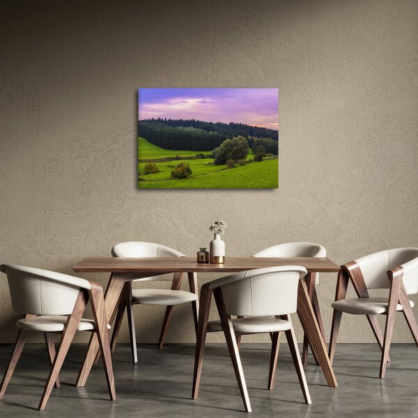 Obraz łąki (70x50 cm)