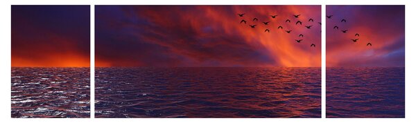 Obraz morza z ptakami (170x50 cm)