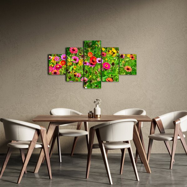 Obraz kwiatów polnych (125x70 cm)