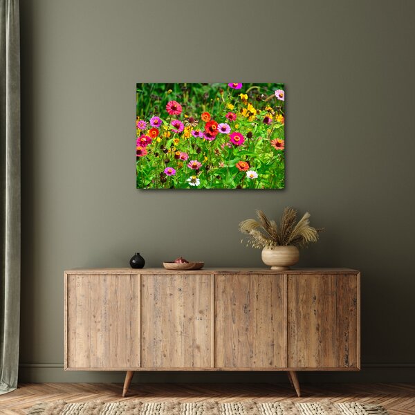 Obraz kwiatów polnych (70x50 cm)