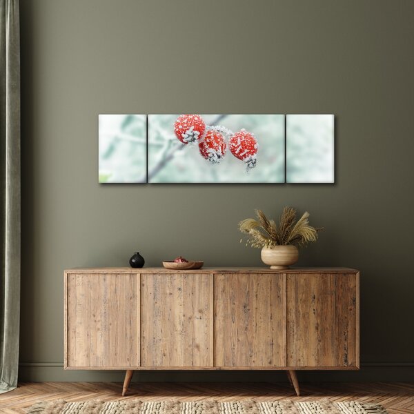 Obraz mrożonych owoców dzikiej róży (170x50 cm)