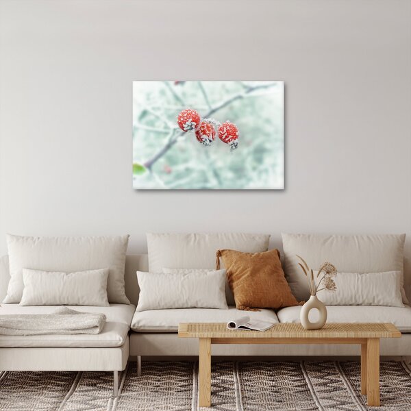 Obraz mrożonych owoców dzikiej róży (70x50 cm)
