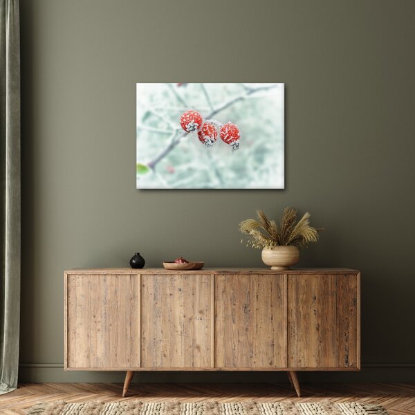 Obraz mrożonych owoców dzikiej róży (70x50 cm)