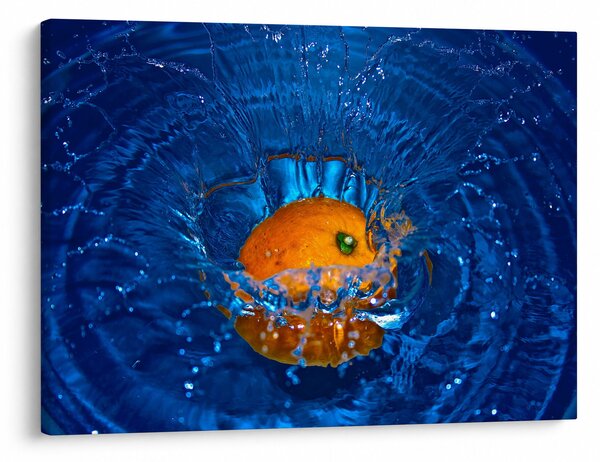 Obraz - pomarańcza w wodzie (70x50 cm)