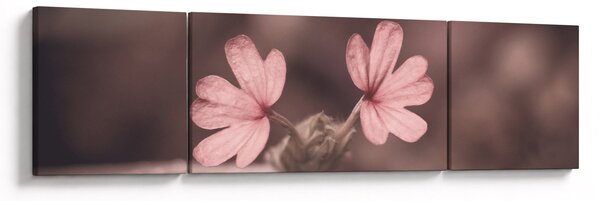 Obraz kwiatu róży (170x50 cm)