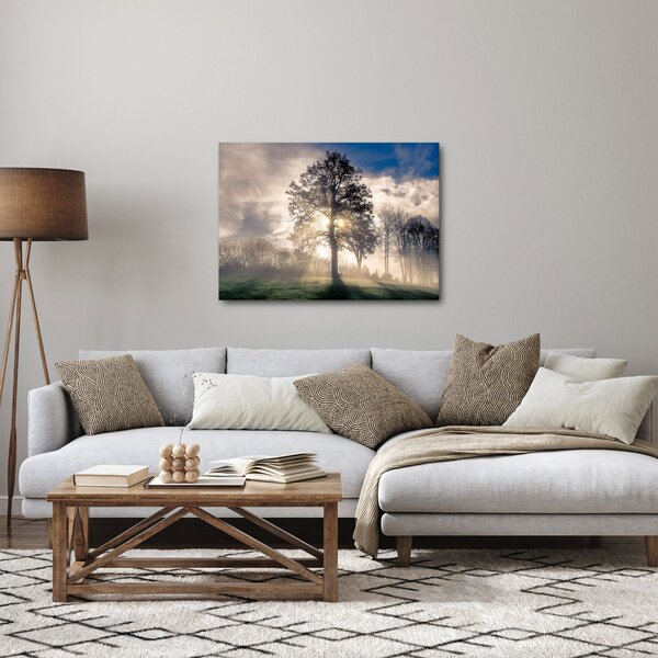 Obraz drzewa we mgle (70x50 cm)
