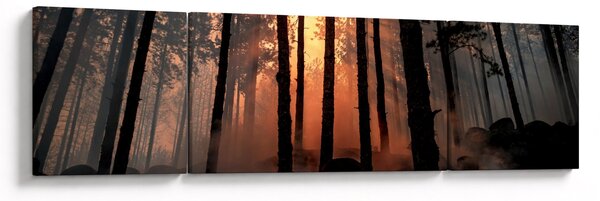 Obraz ciemnego lasu (170x50 cm)