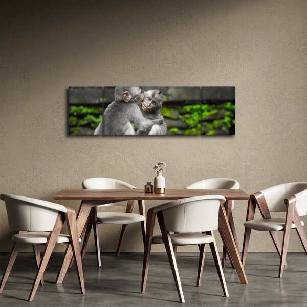 Obraz - małpki (170x50 cm)