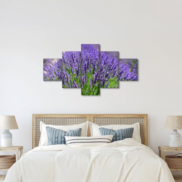 Obraz - lawenda (125x70 cm)