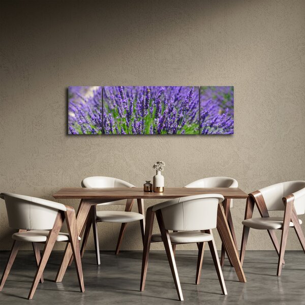 Obraz - lawenda (170x50 cm)