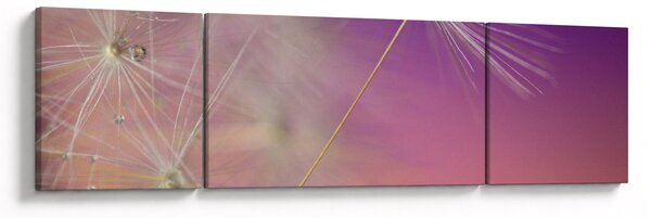 Zdjęcie szczęścia (170x50 cm)