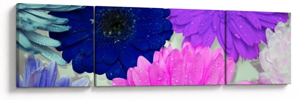 Obraz kolorowych kwiatów (170x50 cm)