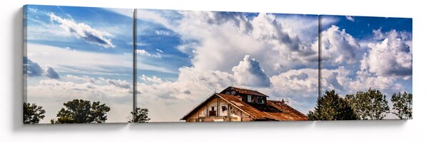 Obraz pola słoneczników (170x50 cm)