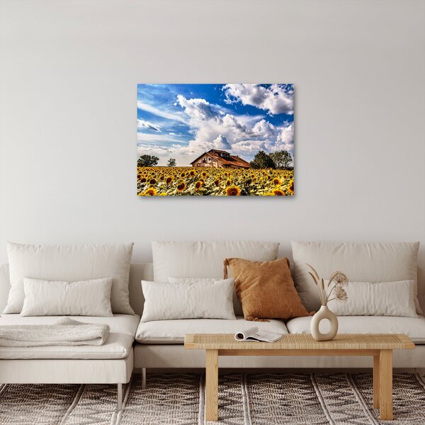 Obraz pola słoneczników (70x50 cm)