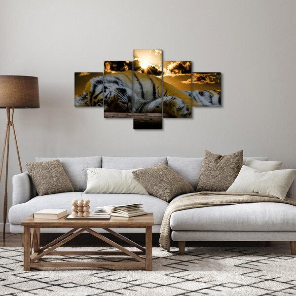 Obraz śpiącego tygrysa (125x70 cm)