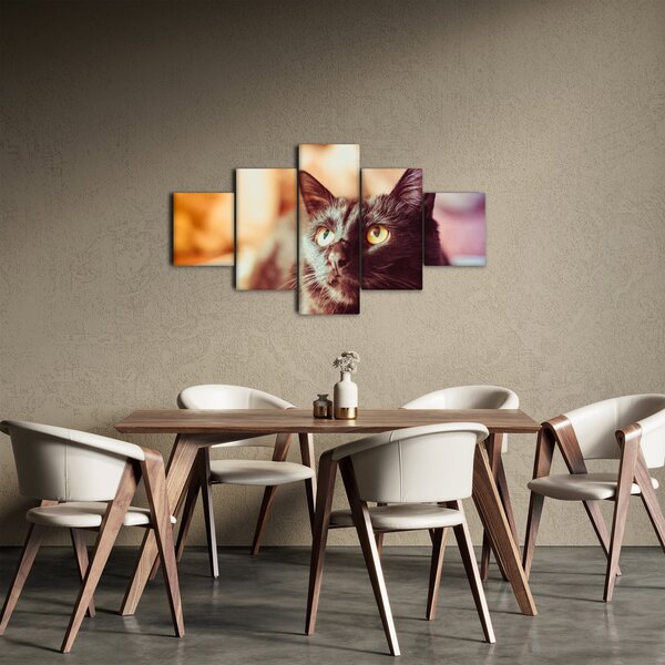 Obraz czarnego kota (125x70 cm)