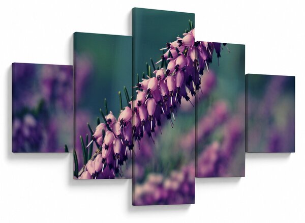 Obraz lawendy (125x70 cm)