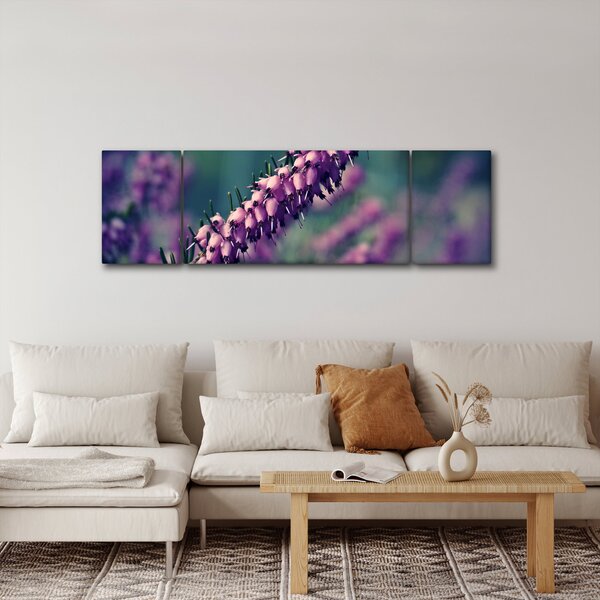 Obraz lawendy (170x50 cm)