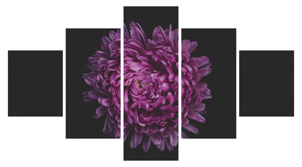 Obraz fioletowego kwiatu (125x70 cm)